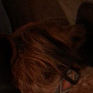 Meet your Posher, Carla